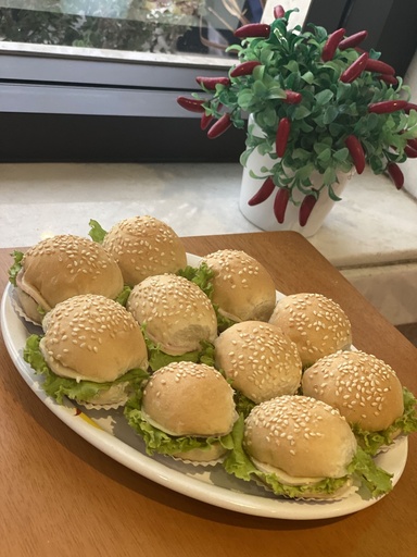 Mini Sanduíche Frio (25 und)